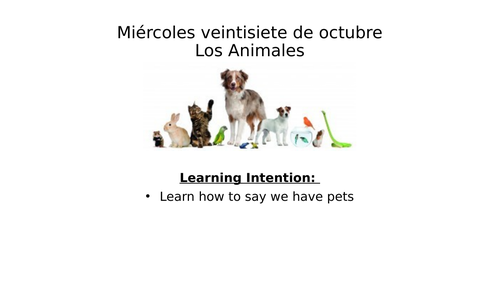 Las Mascotas - Spanish Pets