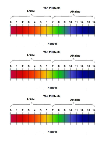 Exploring Science 7F – Acids and Alkalis | Teaching Resources