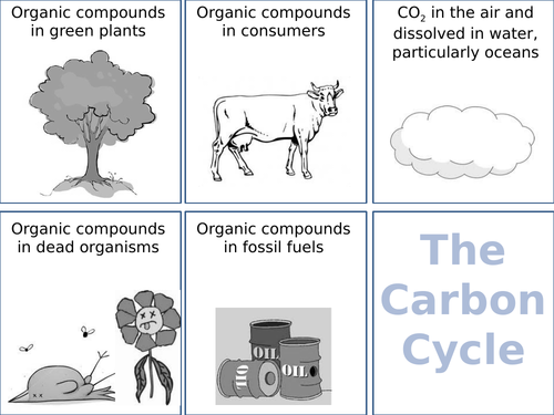 Exploring Science 8D – Unicellular Organism | Teaching Resources