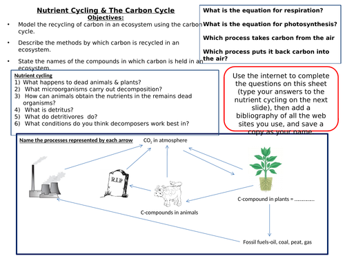 Exploring Science 8D – Unicellular Organism | Teaching Resources