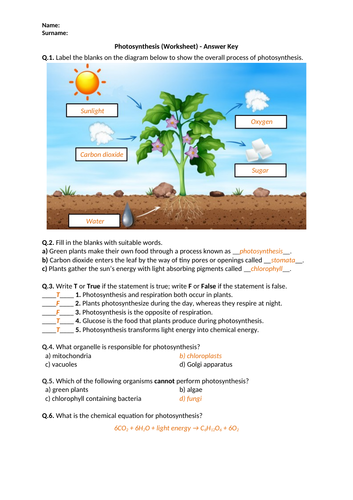 docx, 311.85 KB