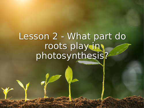 KS3 Science | 3.9.4 Photosynthesis - Lesson 2 What parts do roots play in photosynthesis FULL LESSON