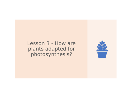 KS3 Science | 3.9.4 Photosynthesis - Lesson 3 How are plants adapted for photosynthesis FULL LESSON