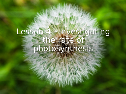 KS3 Science | 3.9.4 Photosynthesis - Lesson 4/5 Investing the rate of photosynthesis FULL LESSON