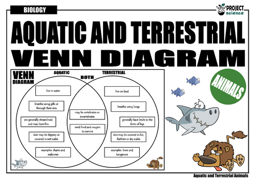Aquatic and Terrestrial Animals Venn diagram | Teaching Resources