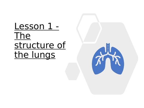 KS3 Science - 3.9.3 Breathing & Respiration - Lesson 1 - Structure of the lungs FULL LESSON