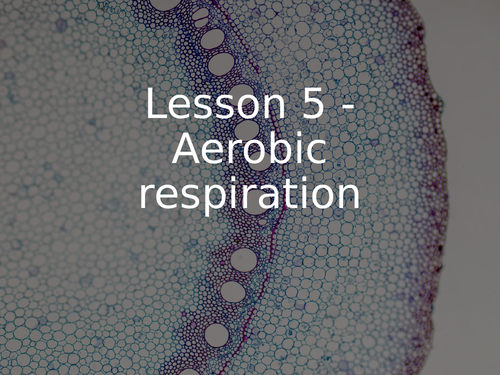 KS3 Science - 3.9.3 Breathing & Respiration - Lesson 5 - Aerobic respiration FULL LESSON
