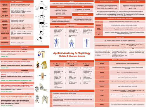 OCR A Level Physical Education Applied Anatomy | Teaching Resources