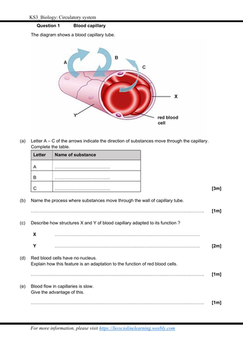 pdf, 1022.43 KB