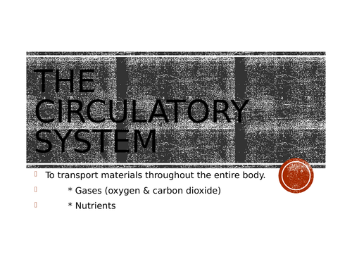 KS3_Secondary 1 checkpoint_worksheet and revision : Circulatory system
