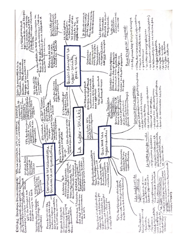 AQA A Level French Social issues diagrams | Teaching Resources