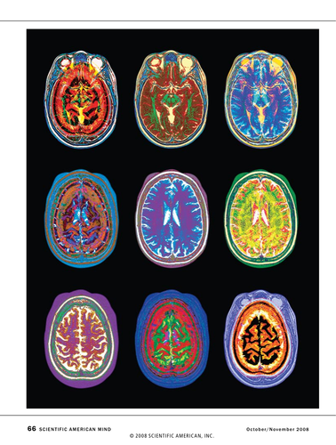 IB Psychology - Core Biological approach SL [FULL TOPIC]