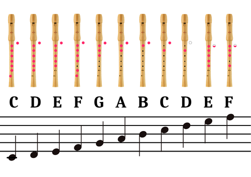 The Recorder - Notes Chart | Teaching Resources