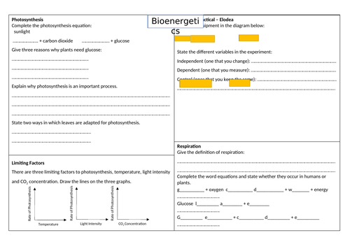 docx, 78.93 KB