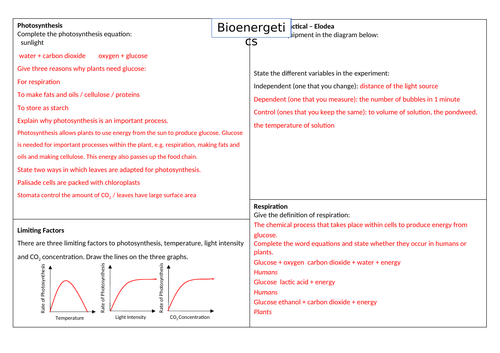 docx, 87.87 KB