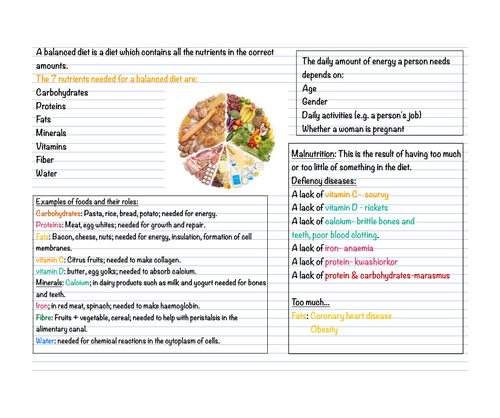 assignment on balanced diet pdf