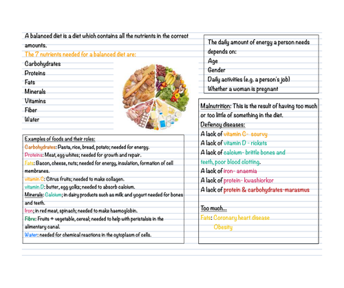 special diet assignment