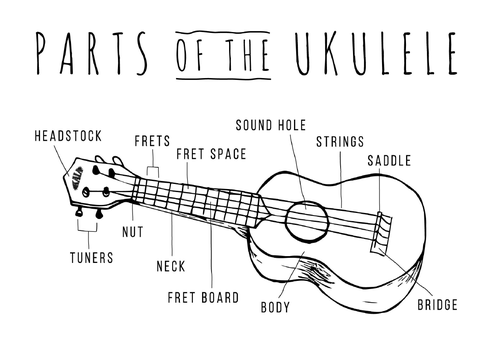 Beginners Ukulele Book - handout for class | Teaching Resources