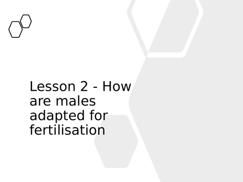 KS3 Science | 3.10.2 Human Reproduction - Lesson 2 - Male adaptations FULL LESSON