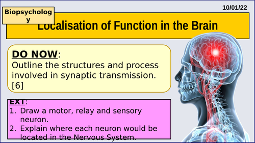 A Level Psychology Localisation Of Function In The Brain Year 2 Biopsychology Topic