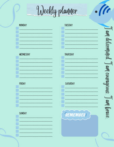 Calming Planners | Teaching Resources