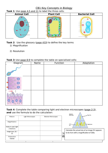 CB1 Key Concepts in Biology Revision Sheet Edexcel Combined Science