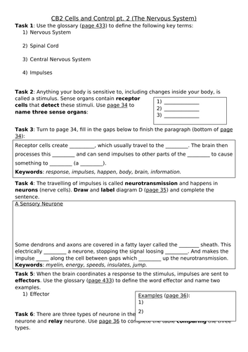 CB2 Cells and Control Revision Sheet, Edexcel Combined Science: Biology ...