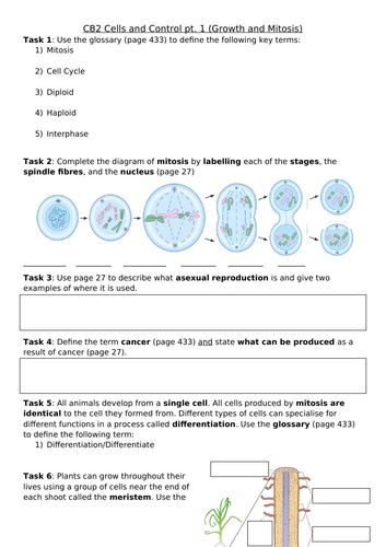 CB2 Cells and Control Revision Sheet, Edexcel Combined Science: Biology ...