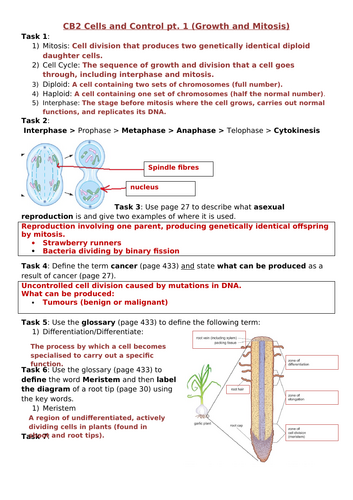CB2 Cells and Control Revision Sheet, Edexcel Combined Science: Biology ...