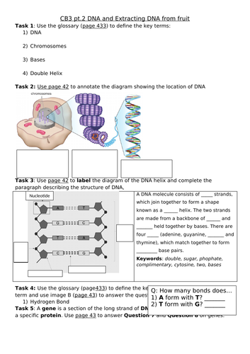 CB3 Genetics Revision Sheet , Edexcel Combined Science: Biology ...