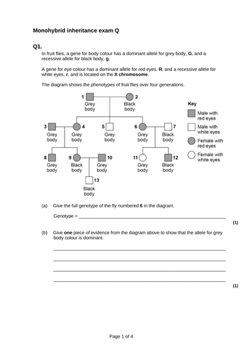 docx, 61.13 KB