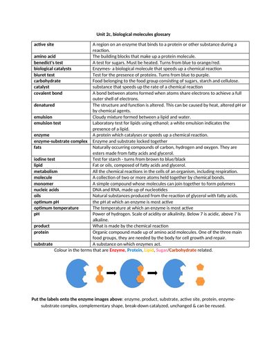 docx, 187.19 KB