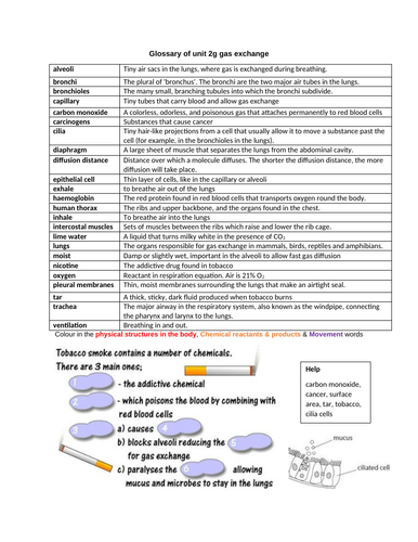 docx, 739.03 KB