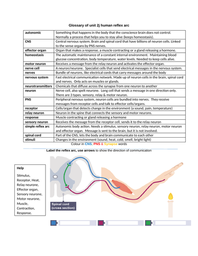 docx, 185.53 KB