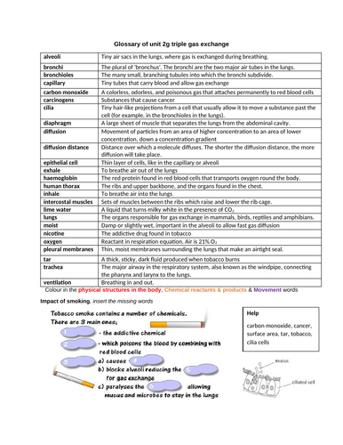 docx, 739.21 KB