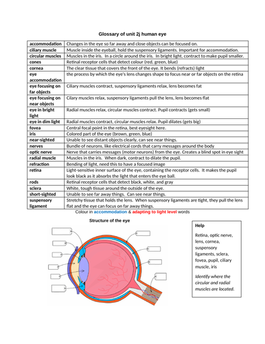 docx, 367.91 KB