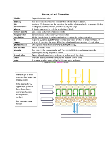 docx, 315.97 KB