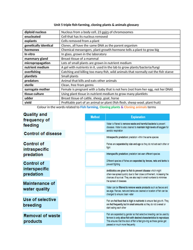 docx, 290.27 KB