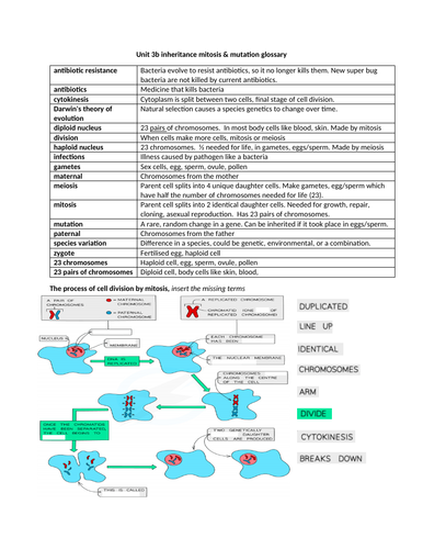 docx, 530.63 KB