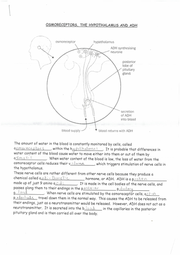 pdf, 2.65 MB