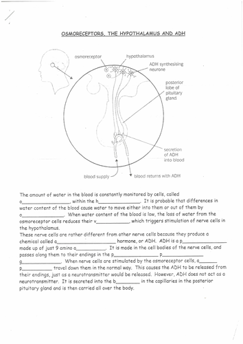 pdf, 2.41 MB