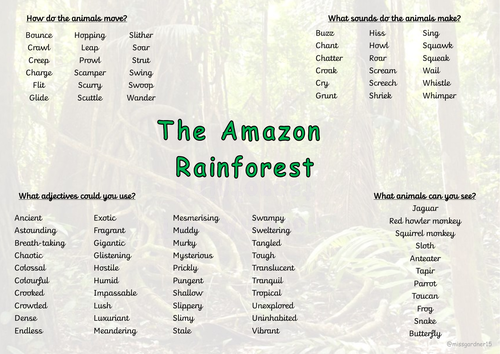 Rainforest mat 2024