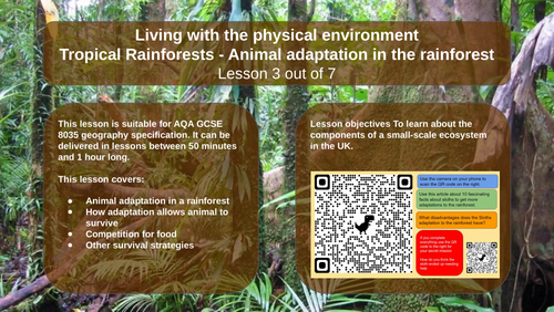 AQA Geography GCSE - The Living World - Tropical Rainforests - Animal  adaptation in the rainforest | Teaching Resources