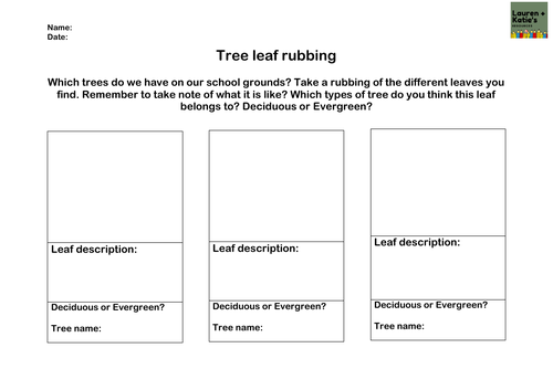 Year 1 Plants Lesson, Resources and Knowledge Organiser | Teaching