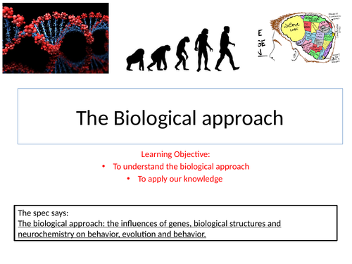 aqa psychology biological approach essay