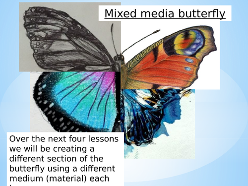 Insects scheme for Art and Design | Teaching Resources