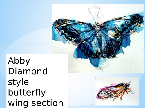 Insects scheme for Art and Design | Teaching Resources