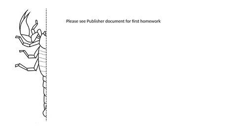 Insects scheme for Art and Design | Teaching Resources