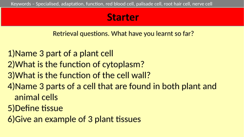 KS3 Specialised Cells (plant and animal) | Teaching Resources