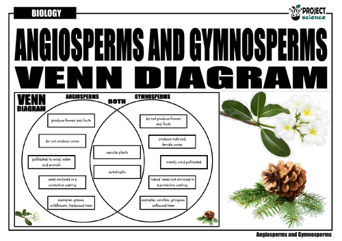 gymnosperms and angiosperms